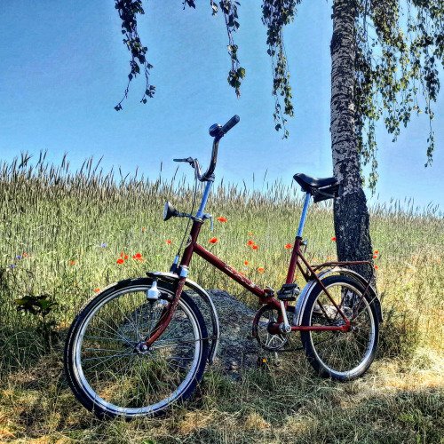 DDR Mifa Klapprad für Touren in der Natur