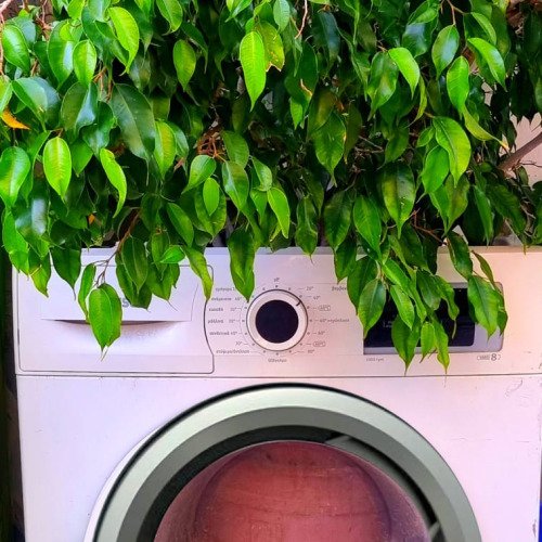 Eine ÖKO-Waschmaschine in Vollendung 😃