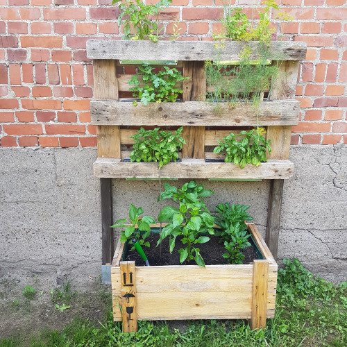 Kräuterbeet